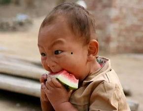 认真吃瓜的兄妹,揭秘娱乐圈背后的故事