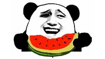 哥们吃瓜嘛,揭秘娱乐圈幕后真相