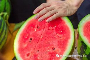 大学投稿奇葩吃瓜,那些让人捧腹的“奇葩吃瓜”事件