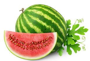 吃瓜 上火,揭秘夏日饮食养生之道