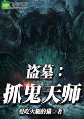 吃瓜抓鬼盗墓小说