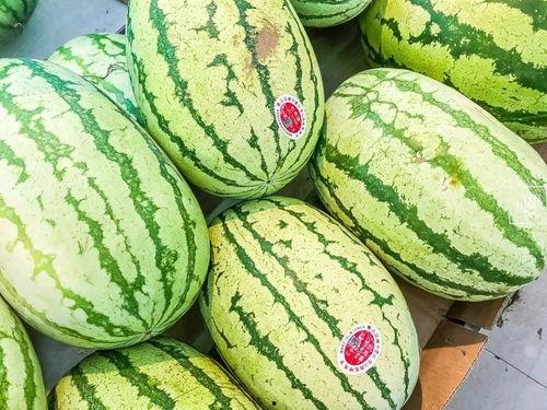 江阴女销售吃瓜,揭秘职场八卦背后的真相