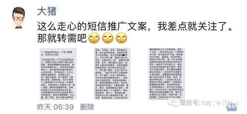 吃瓜推广文案简短,一尝倾心！