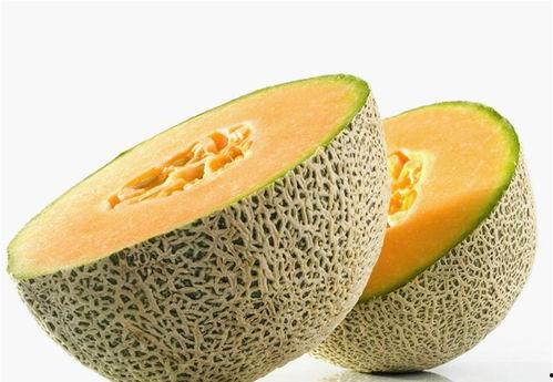 monkey吃哈密瓜图